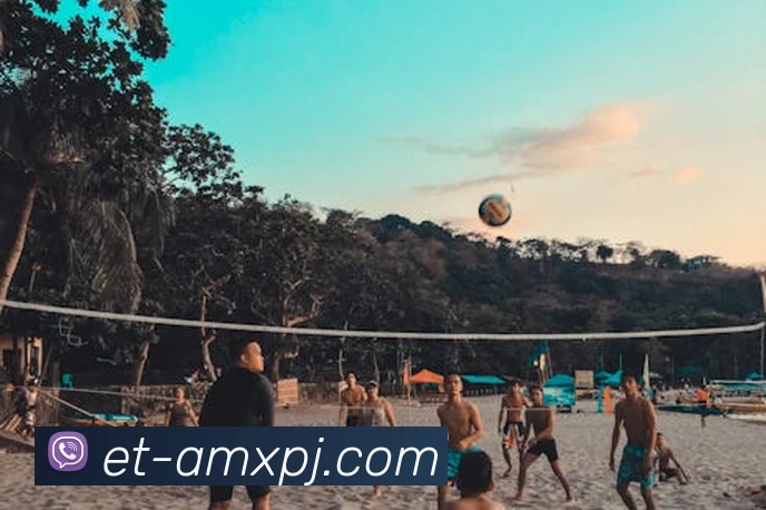 新葡京娱乐APP 高清赛事图